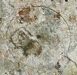 Circle inscribed upon Spottiswoode Popping Stone
