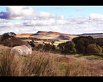 Walltown View, photo B Turnbull