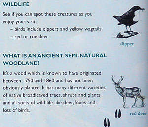 Part of Woodland Trust Board