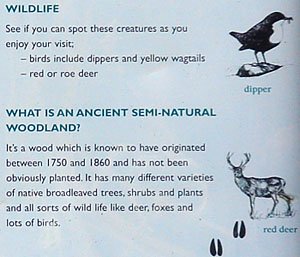Part of Woodland Trust Board