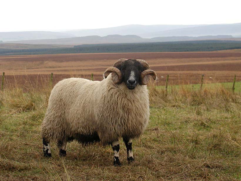 tup at Spy Crags